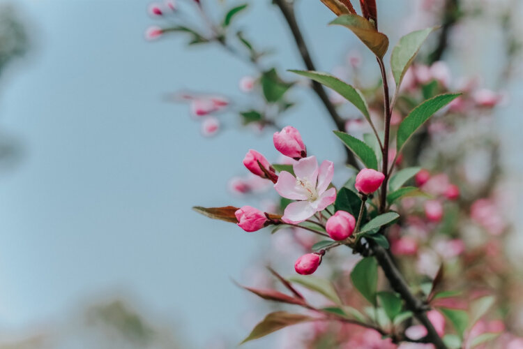 富士xf50mmf2测评