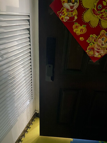 老司机介绍电子锁小米小米全自动智能门锁 磨砂金功能评测结果，看看买家怎么样评价的