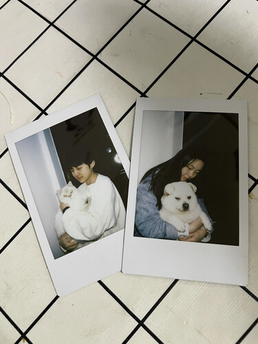 「实情必读」instaxmini11和9哪个好？评测结果不看后悔