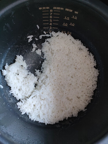 说说区别九阳40fy819和40fs606哪个好？深度剖析功能区别？
