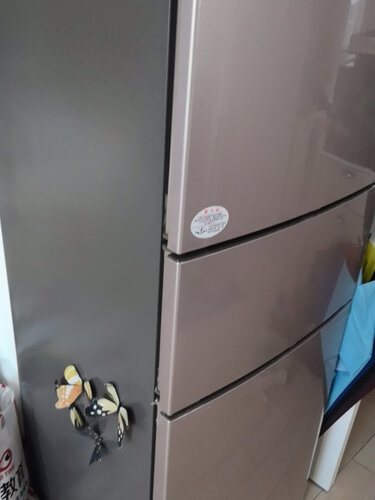 不吹不黑海尔bcd217wdvlu1和bcd216wdpx的区别，应该怎么样选择！