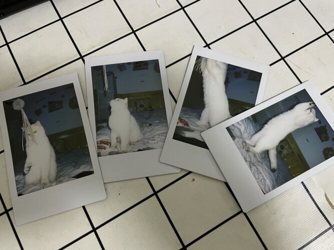 真实情况透露instaxmini11和25区别哪款更适合？评测教你怎么选