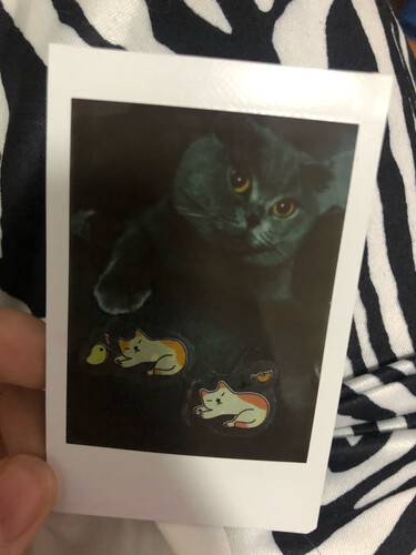 口碑实情分析instaxmini7c和25区别有什么不同？哪个更合适