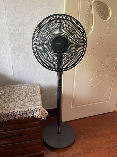 达人爆料电风扇東芝F-DSX25CR怎么样的质量，评测为什么这样？