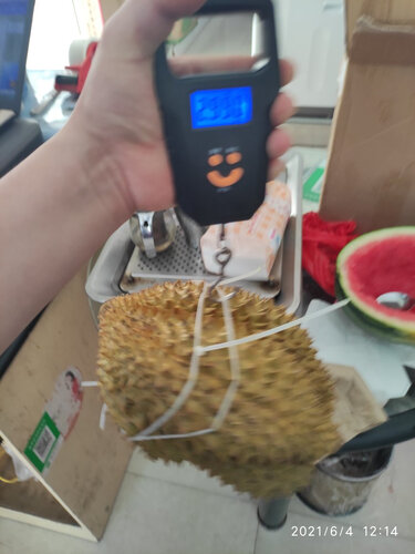 比较对比海尔bcd221wdecu1与美的230区别怎么选，一定要了解的评测情况？