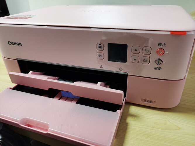 问下对比佳能ix6780和爱普生l1300哪个用起来省？应该怎么样选择！