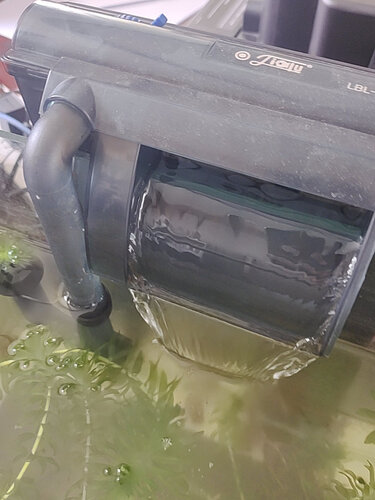 用过的说说森森403过滤器怎么样？深度剖析测评？