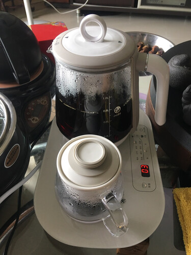 重点区别生活元素i19与i38煮茶器的区别？重要提醒看看！