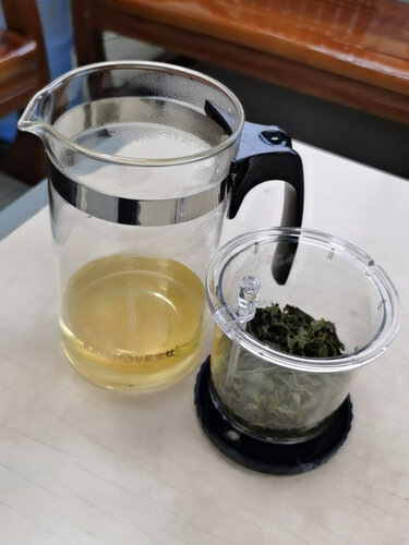 质量评测金灶300A和310A区别比较 哪款好？应该怎么样选择！
