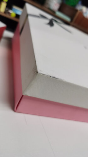 【买前须知】洁面仪中 斐珞尔LUNAmini2粉红色 这款属于什么档次？分析性价比质量怎么样！