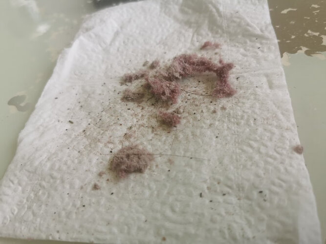 【事情曝光】米家WXCMY01ZHM 质量怎么样？除螨仪值得入手吗？大家真实看法解读