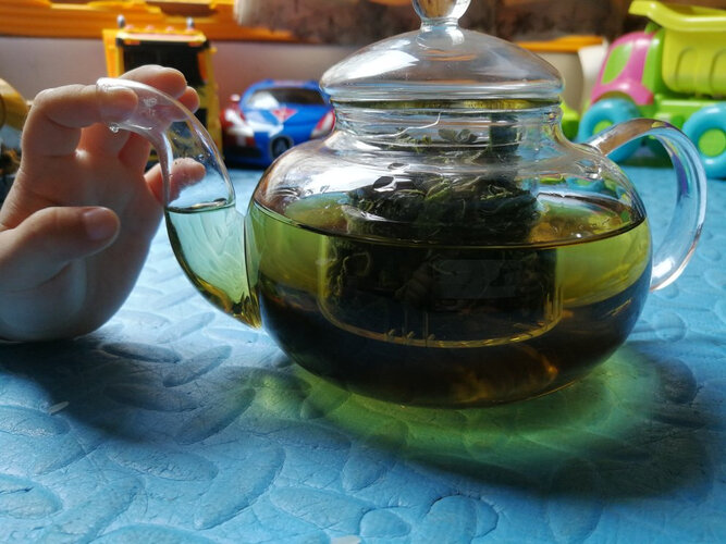 「买家释疑」茶壶茶适C6404质量评测怎么样好不好用？