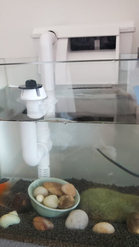 用过的说说森森403过滤器怎么样？深度剖析测评？