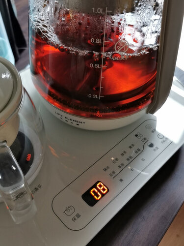 重点区别生活元素i19与i38煮茶器的区别？重要提醒看看！