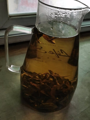 分析对比光一与刚 调教与反跳教，分析比较哪个好？
