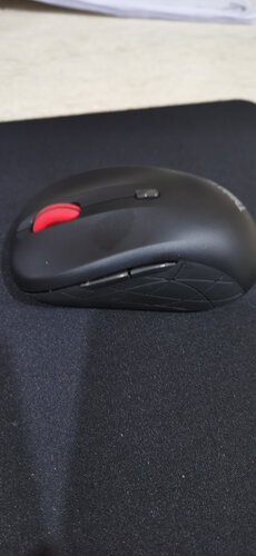 【求助】想要入手鼠标 有谁买过 ThinkPadWL800 评测说下质量怎么样？在线等！