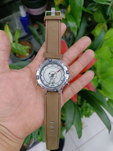 【已开箱】天美时t2n720与t2n721区别哪个好？谁是性价比之王
