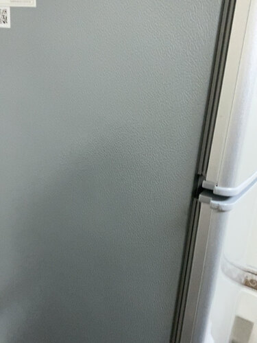 【不看后悔】日普BCD-58A126D冰箱评测结果怎么样？不值得买吗？