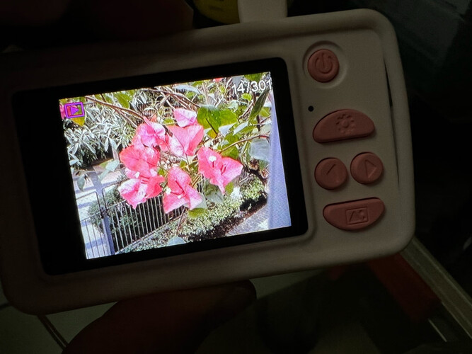 【神解读】麦巧适A1-2 是性价比最高的 仿真照相机 吗？来看下质量评测怎么样吧！