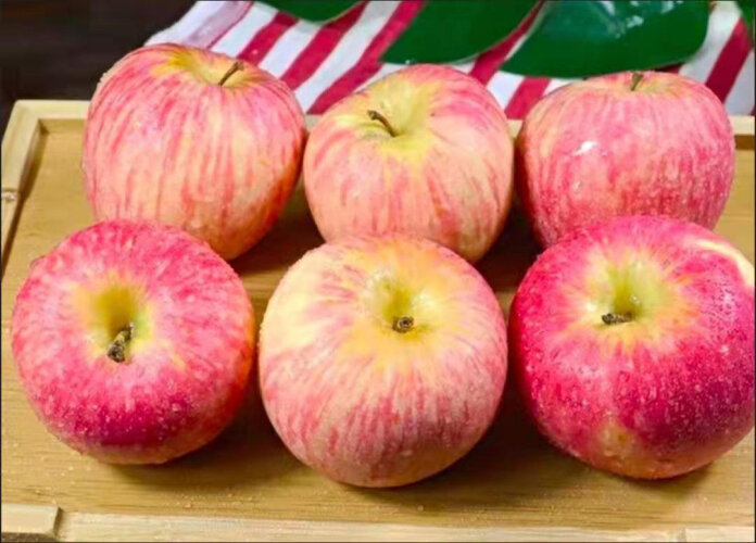【认真分析】苹果如何选择？一定要知道 一颗绿芯陕西苹果 质量评测结果怎么样？