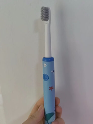 网友剖析博皓T09和T31哪款更适合？只选对的不选贵的
