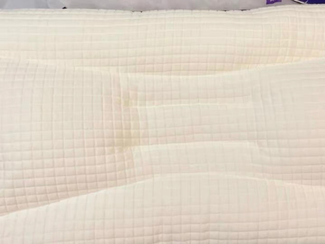 【参考对比】用完一个月评测 菠萝斑马颈乐枕 的质量怎么样？记忆枕使用感受大揭秘！