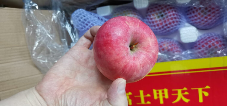 用后感受解析苹果西域美农苹果质量评测怎么样好不好用？