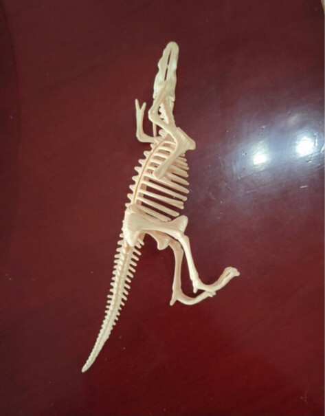 古欧恐龙化石考古挖掘玩具儿童拼装骨架评测好不好用？产品功能评测？