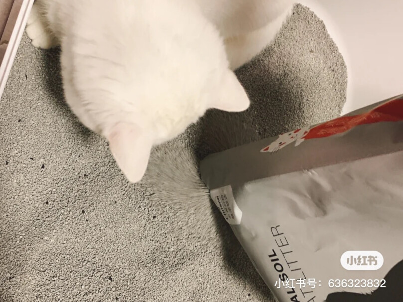 好命天生猫砂玉米猫砂2.6Kg植物豆腐猫砂除味结团无尘猫砂你家一种猫砂两个价格？