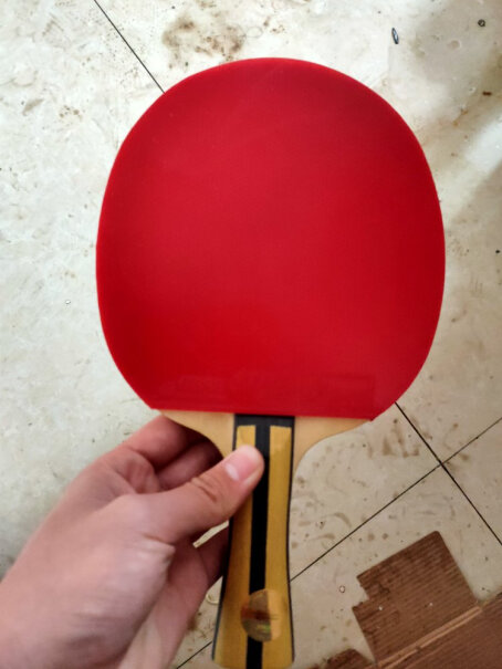 乒乓球红双喜乒乓球冰箱评测质量怎么样！测评大揭秘？