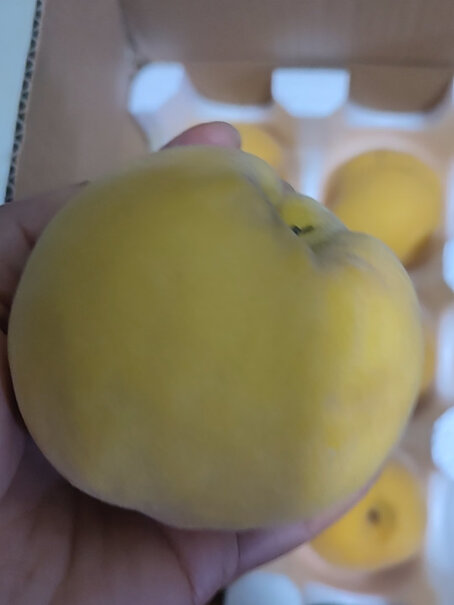 自然故事桃山东蒙阴黄金蜜桃 5斤装要注意哪些质量细节？使用感受！
