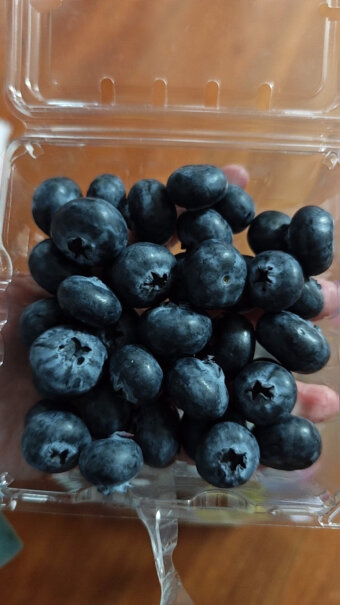 怡颗莓蓝莓可以入手吗？使用体验！