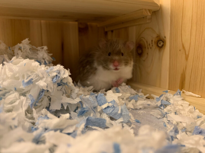 鼠类用品路伯rm纸棉仓鼠无尘纸棉垫料4包装怎么样？评测下来告诉你坑不坑？