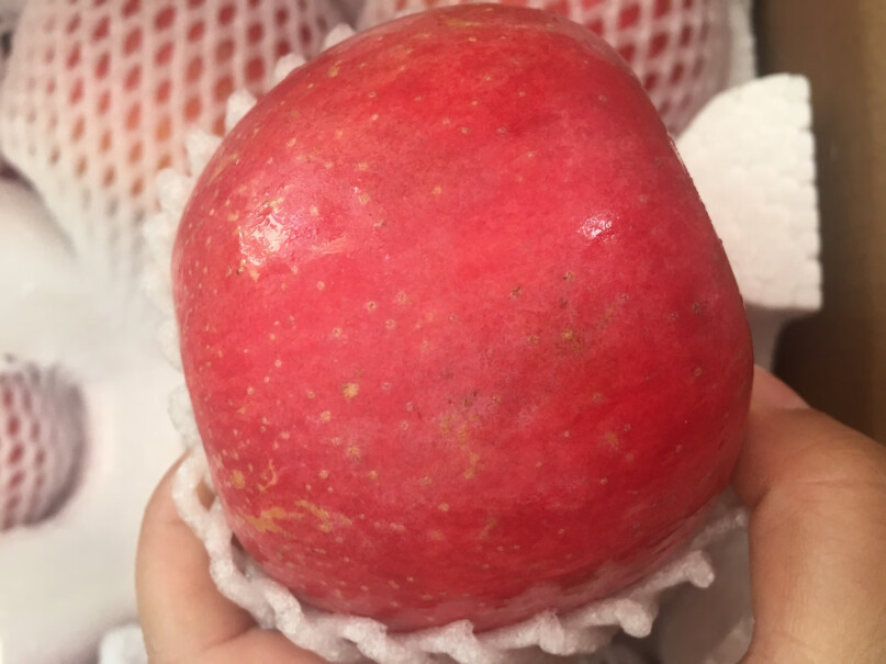 正宗山东烟台苹果栖霞红富士脆甜当季新鲜水果时令生鲜整箱吃起来酸不酸？