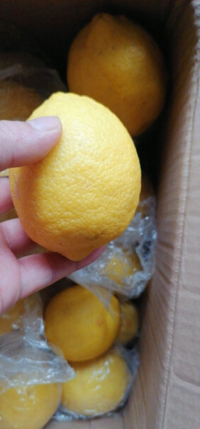 uncle lemon柠檬叔叔柠檬 安岳新鲜黄柠檬水果选购哪种好？使用感受！