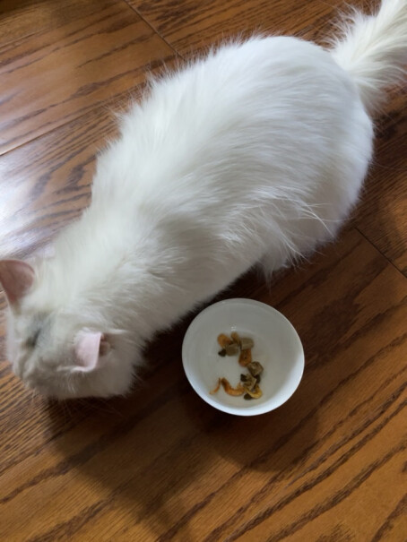 卫仕主粮2.5kg布偶蓝猫山海卫士盛宴阶段山海盛宴的猫咪好吃度怎么样呀？