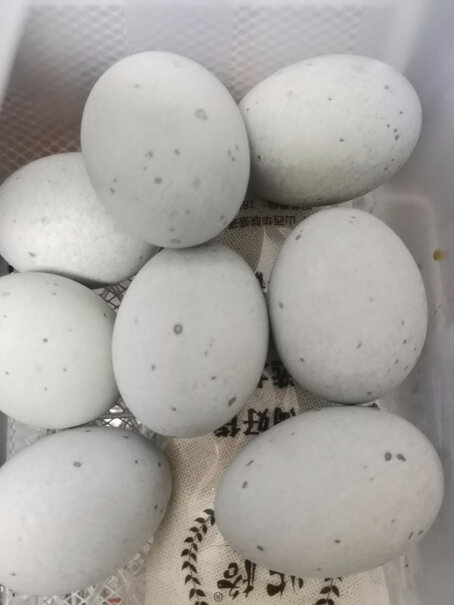 松花鸭皮蛋溏心砂芯变蛋15枚发苦是坏了吗？