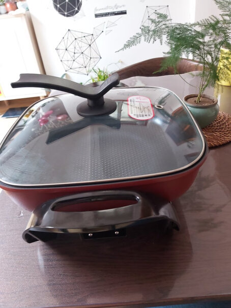 苏泊尔电火锅电热锅这个可以烧烤吗？