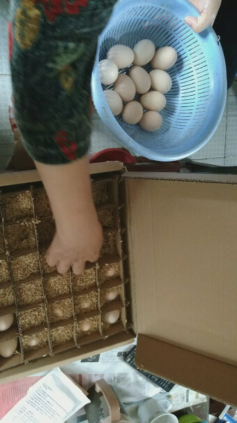 富润世蛋类鸡蛋生鲜鸡蛋评测结果好吗,评测质量好吗？