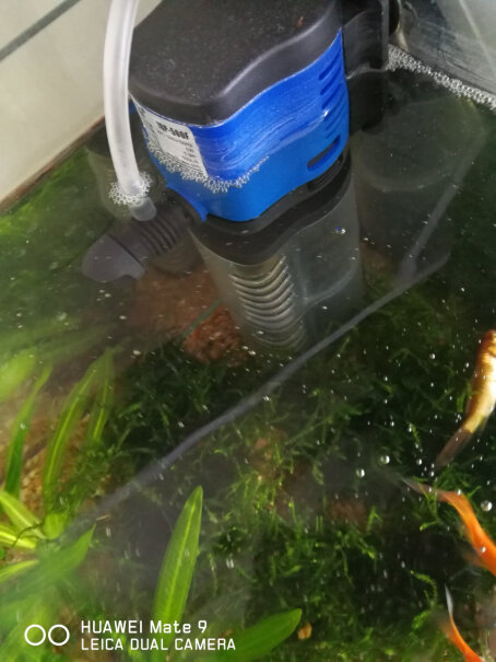 森森鱼缸过滤器静音增氧泵内置三合一潜水泵乌龟缸水族箱过滤设备我的缸是1米的用多大的？