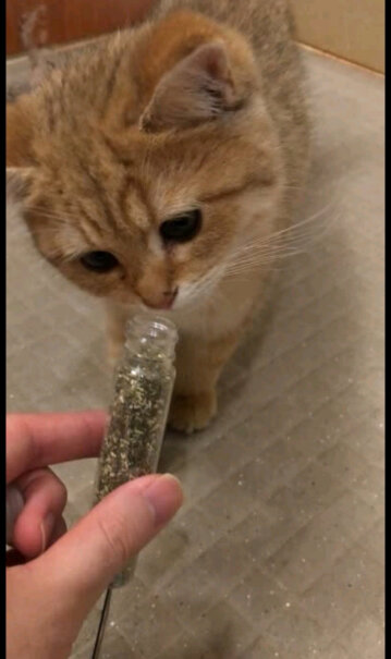 田田猫宠物猫用品猫零食猫薄荷粉末猫草独立包装猫薄荷我家有一只小土猫，花色很杂，有点怕人，我想借这个舒服一把可以吗？