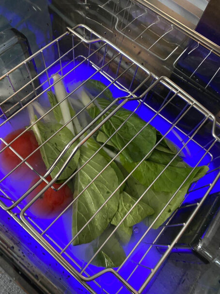 德国尊梵洗菜机果蔬清洗机家用多功能全自动去农残食材净化机请问都有什么功能？原理是什么？