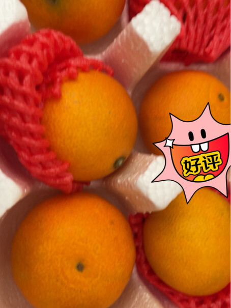 X-PLUS四川爱媛38号果冻橙 橘子应该注意哪些方面细节？老用户评测分析！