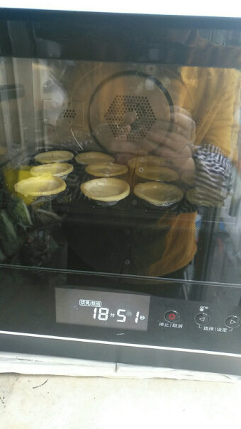 松下家用电烤箱多功能蒸烤箱一体机双层热风烘焙餐具消毒请问最大能烤几寸披萨？