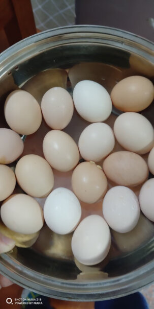 鸡蛋生鲜鸡蛋发货在哪？