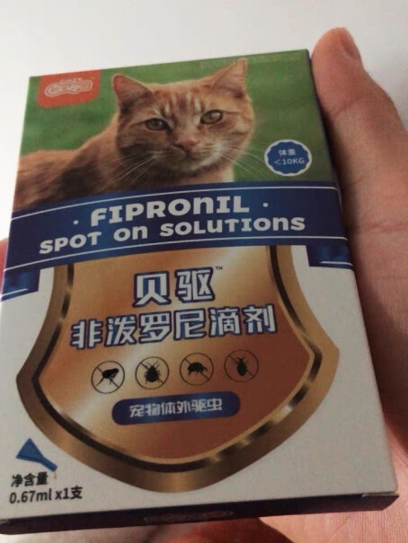 新宠你好 2斤的猫咪吃多少？