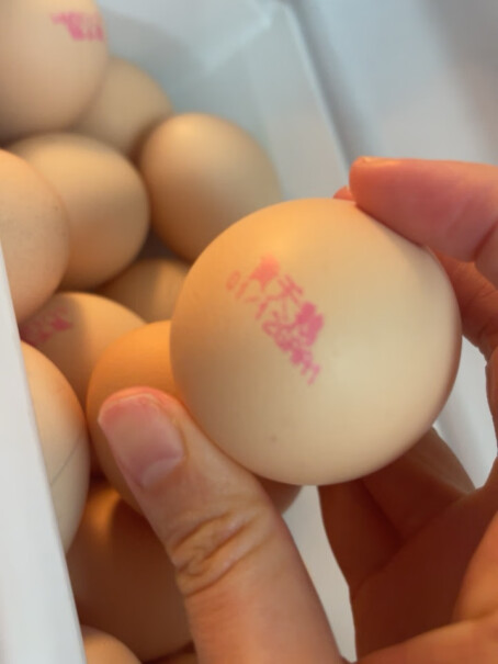 黄天鹅鸡蛋30轻食单枚50G+生食无菌天鹅选购技巧有哪些？使用感受大揭秘！