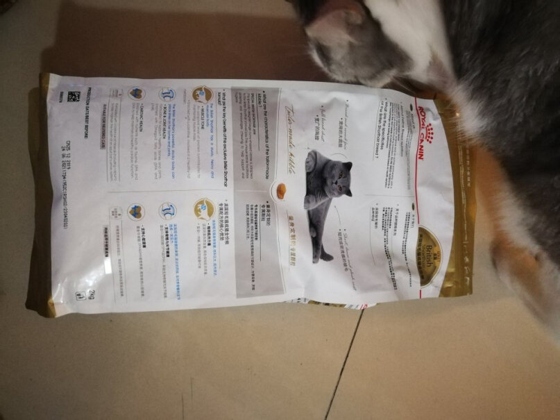 ROYALCANIN英短吃这一款猫粮有助发腮吗？