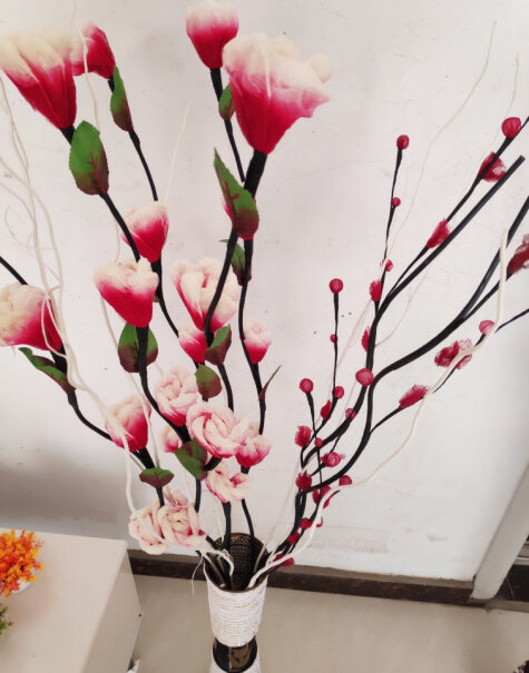 美丽空间客厅落地脉叶干花装饰花艺一件是几枝花？