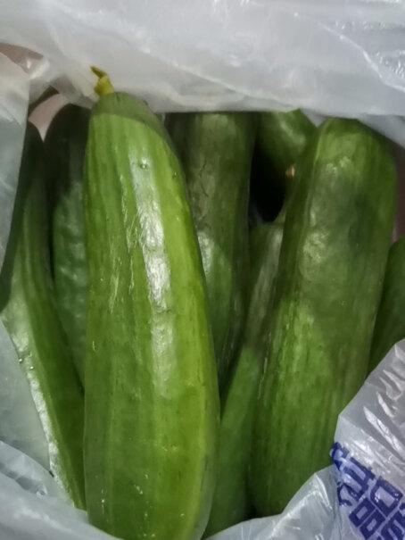 京地达山东水果小黄瓜青瓜新鲜水果蔬菜健康轻食我在上海，现在买，啥时能送到？